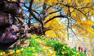 十月下旬去哪里旅游好