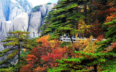 十月下旬去哪里旅游好