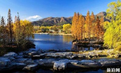 九月十月去哪里旅游最好玩 哈爾濱十月一去哪里旅游好玩