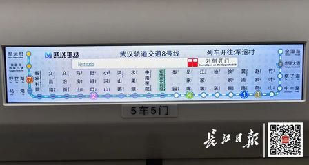武漢梨園地鐵站