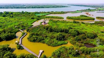 山東東營黃河口生態(tài)旅游區(qū) 黃河口海水浴場收費嗎