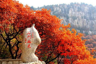濰坊旅游景點大全排名靠前