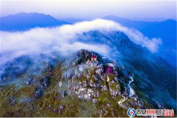 江西新干旅游景點(diǎn) 鳥的天堂簡短解說詞