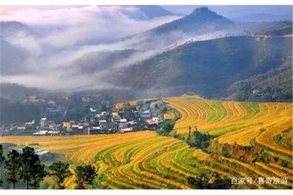 廣東十大詩(shī)意田園之一:大埔:大東鎮(zhèn)坪山梯田