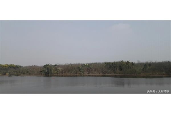 成都市青龍湖