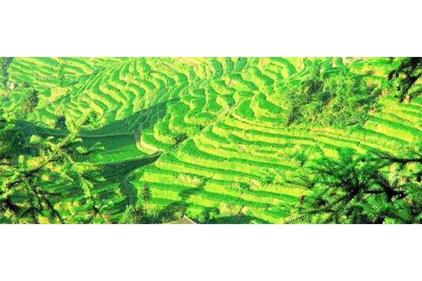 湖南新化旅游攻略 婁底新化旅游攻略