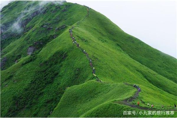 武功山自由行攻略:纜車55元坐到紫極宮