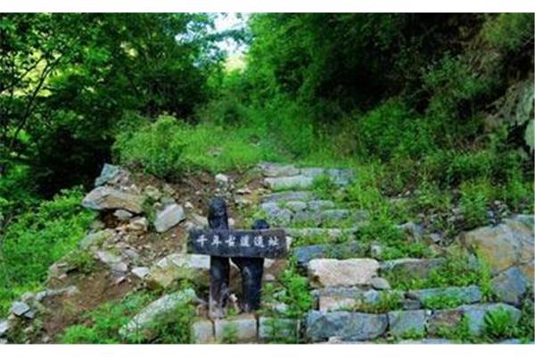 西安最省錢的旅游攻略 王順山一日游詳細(xì)攻略