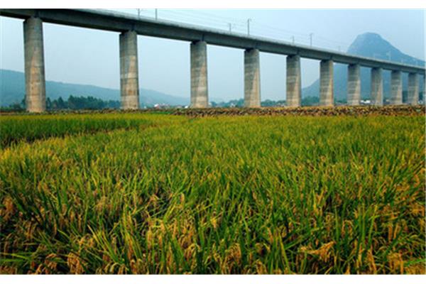 湖南冷水灘旅游景點(diǎn) 永州冷水灘旅游景點(diǎn)