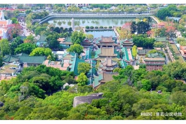 福建普陀寺在哪里,普陀山的福建寺是哪個(gè)?