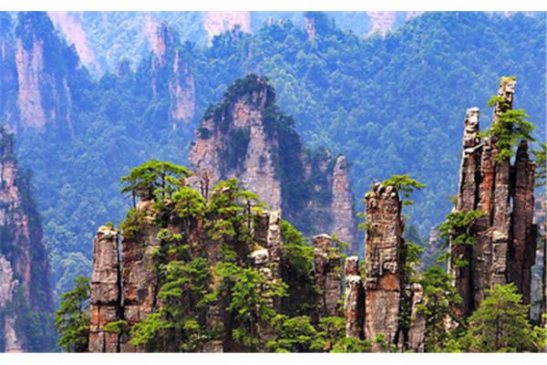 云霄旅游,漳州龍文和云霄縣哪個(gè)好?