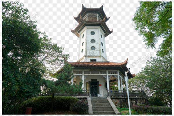 株洲市石峰公園,螢火蟲展為什么被緊急叫停?