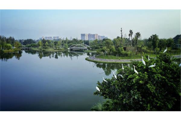 雙流公園哪個好玩,成都雙流區(qū)公園